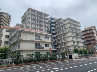 【外観】 | 大宮吉敷町スカイハイツ | 長谷工不動産旧分譲の大規模マンション（2024年9月29日撮影）。