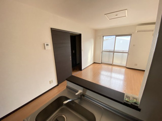 【展望】 | Four Leaf Clover