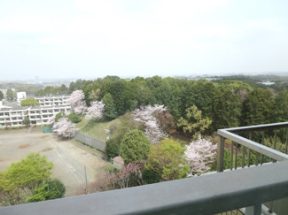 【展望】 | 北側は学校と三保市民の森を見通す開放感ある素敵な眺め