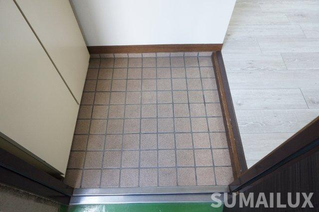 熊本市中央区大江１丁目の賃貸マンションの玄関