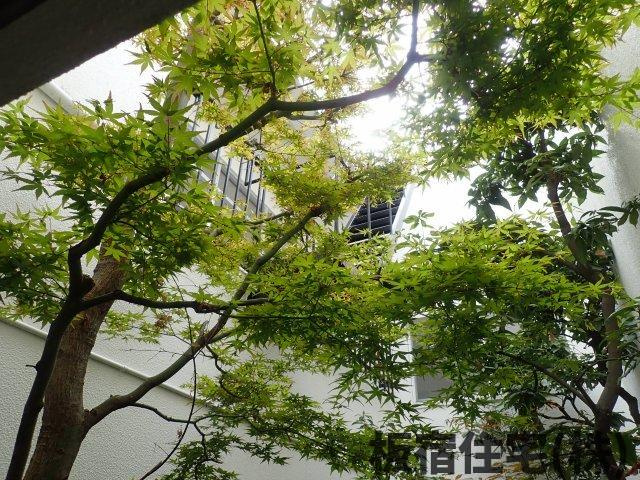 【その他】 | 東灘区森北町５丁目中古住宅 | 中庭