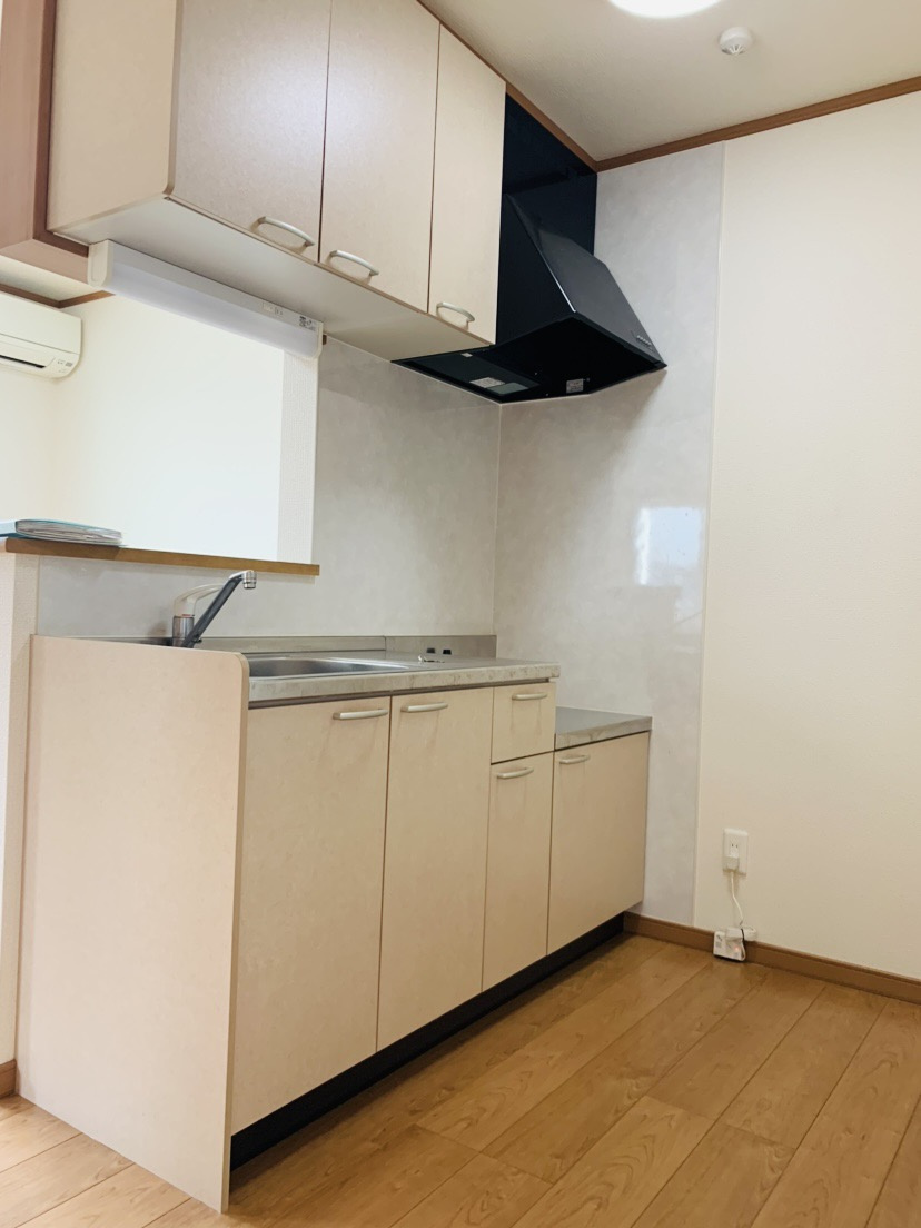 ラッキー１のキッチン|101号室反転タイプのお部屋の写真です