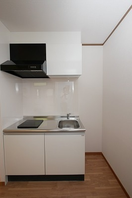 サファイアハイツのキッチン|サファイアハイツ202号室　