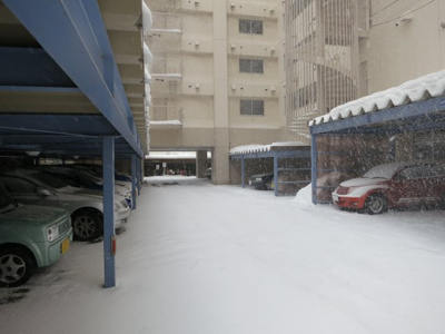 【その他共用部分】 | ファミール大通 | 駐輪場