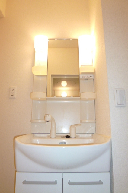 リーベ【10，000円キャッシュバック対象物件】の独立洗面台|独立洗面台です