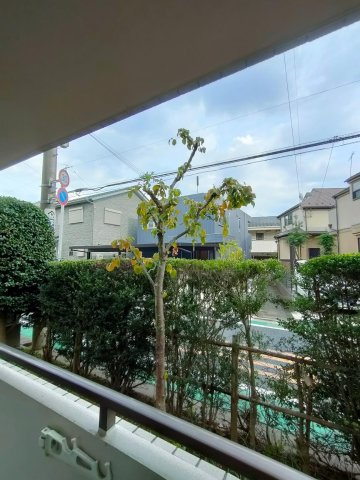 シャトレ・メイプルの展望