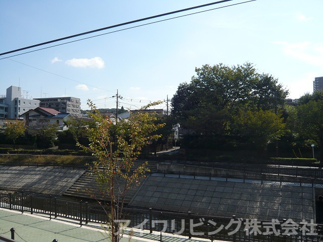 リトルグローブの展望|【リトルグローブ】