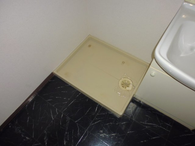 アールグレイのその他|洗濯機置き場