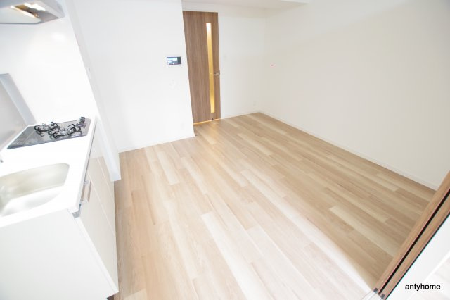 ライジングメゾン本町橋　仲介手数料無料の居間・リビング