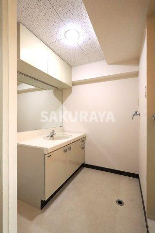 ズイコーアスピラントハイツ足利の洗面所|2025年撮影。