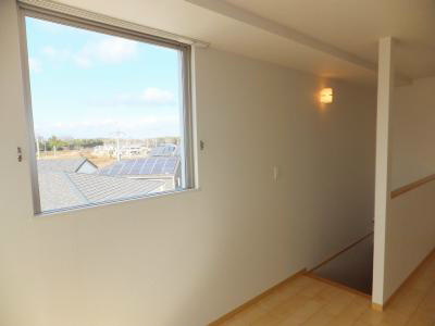 【その他】 | カモミール