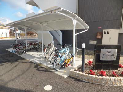 【その他】 | カモミール