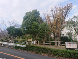 【展望】