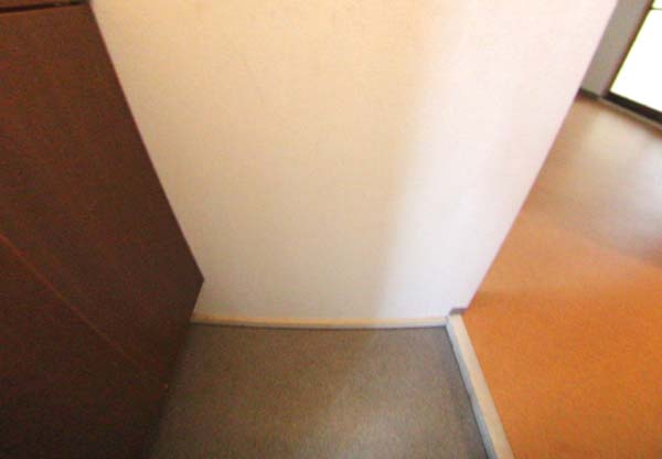 泉北郡忠岡町忠岡北１丁目のハイツの玄関|玄関です