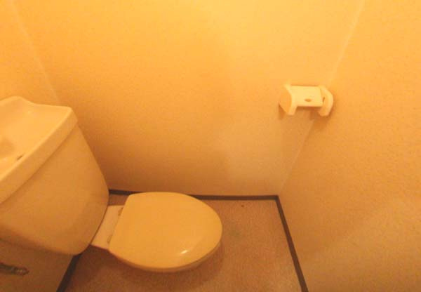 泉北郡忠岡町忠岡北１丁目のハイツのトイレ|落ち着いた色調のトイレです