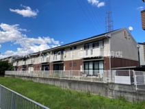 プラムコートの画像