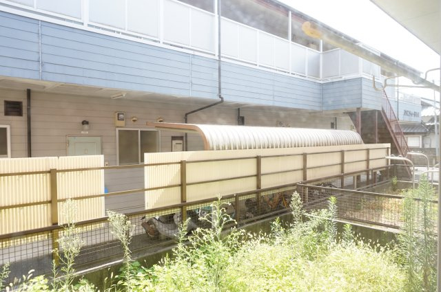 熊本市中央区出水４丁目のアパートの庭