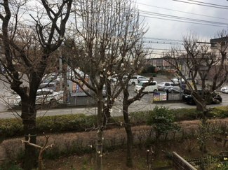 【展望】