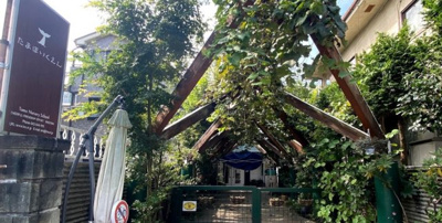 【周辺】 | 立川市富士見町1丁目  新築戸建 | 多摩保育園まで600ｍ