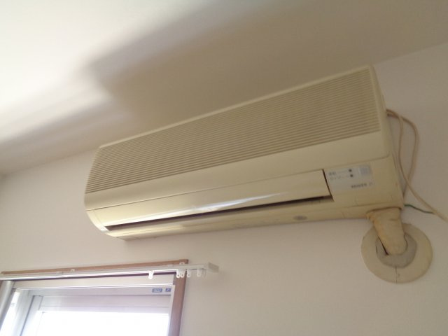 エヴァグリーンのその他