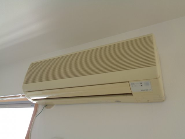 エヴァグリーンのその他