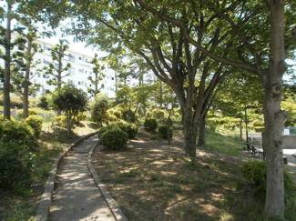 【周辺】 | 南長津田公園の散歩道