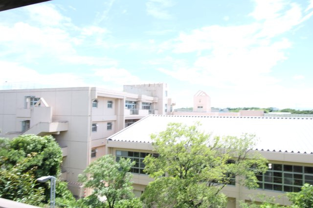 エニウェアグリーンBの展望