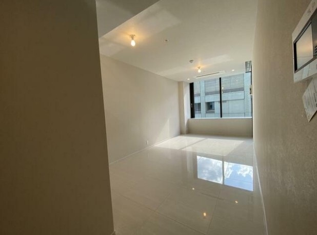 文京区小石川１丁目の賃貸マンションのその他|リビング