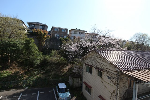 ソフイア朝霧の展望