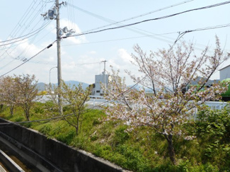 【展望】
