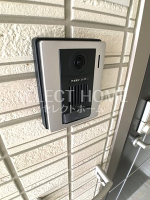  | インテレクト