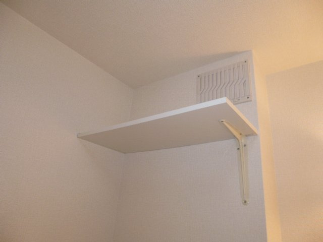 プレザントＡの洗面所|洗濯機上棚