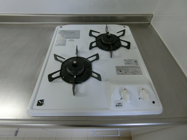 ハイツコムドテールのキッチン|102号室の写真（イメージ反転タイプ）