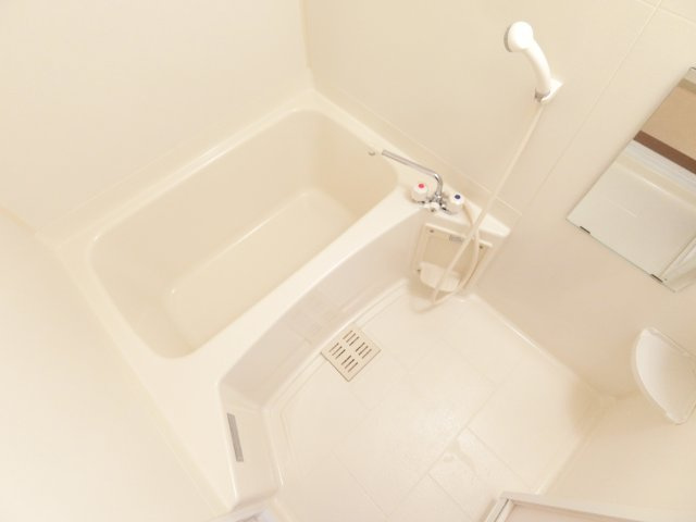 フジパレス楓の浴室