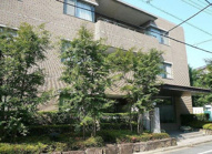 LANAI COURT CLASSICの画像