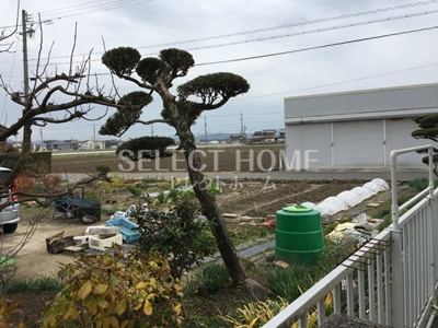 【展望】 | サンエフ中之郷