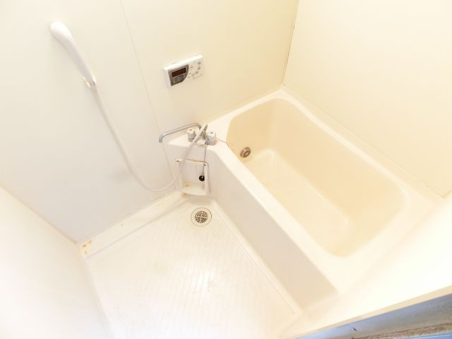 アデューウエダの浴室|別部屋写真