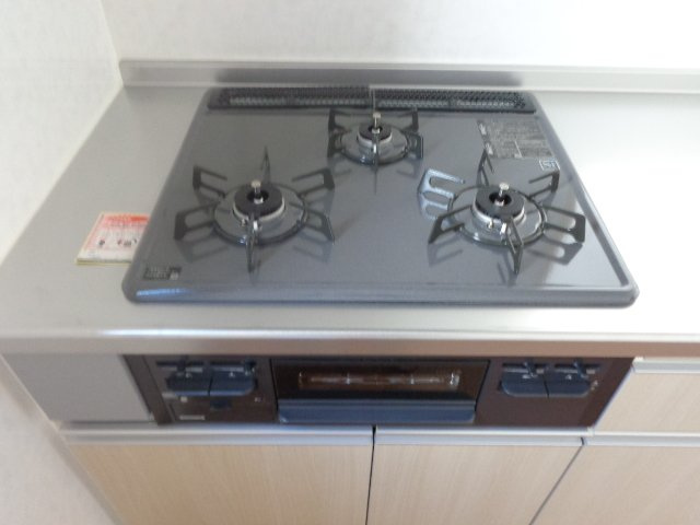 テラスハウス渡辺Ⅱのキッチン|3口ガスコンロ備え付けの、システムキッチンです！！