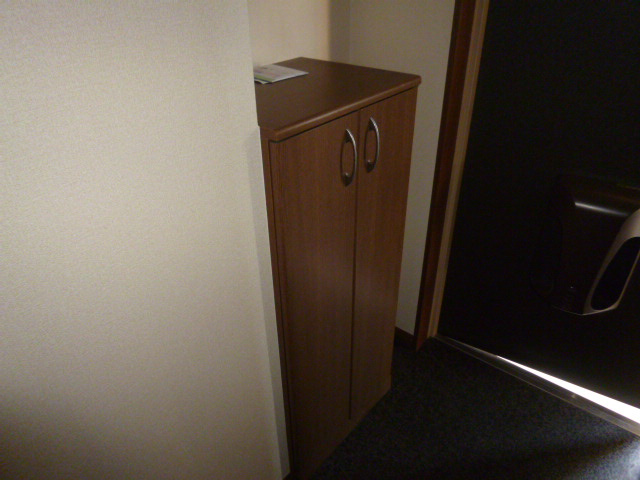 スタイリッシュ・レジデンスⅡの玄関