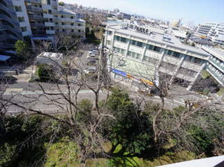 【展望】 | 眼前には桜の木があり、貼るには満開の桜を目の前でお楽しみいただけます。