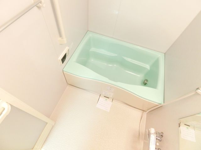 ラ・メゾンMSⅡの浴室