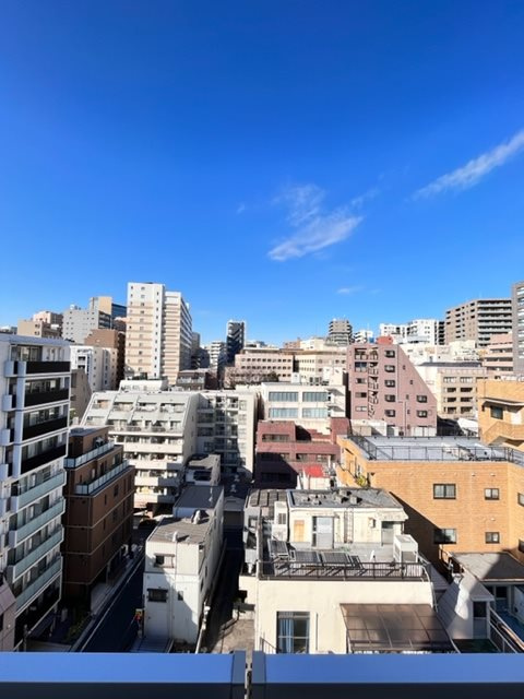 レジディア文京湯島Ⅲの展望|※写真は同タイプの別室になります