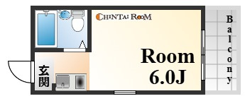 ダイドーメゾン御影２の間取り