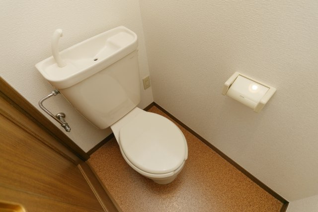 ベルヴェデール弐番館ゼロ賃貸のトイレ