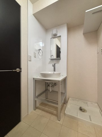 セジュール南大通の洗面所