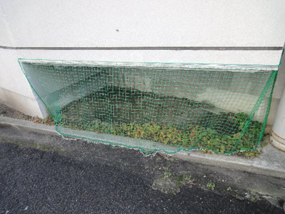 【その他共用部分】 | セキヤハイツ | 完成写真