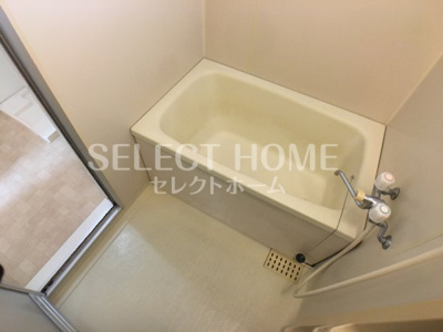  | セジュール錦