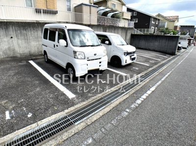  | セジュール錦