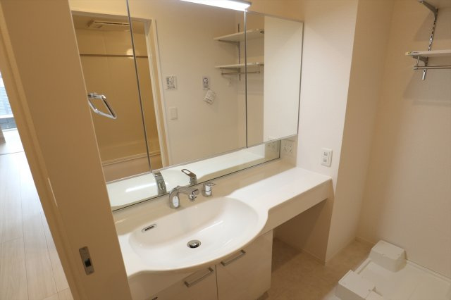 アネシス寺家A・B　A棟の洗面所