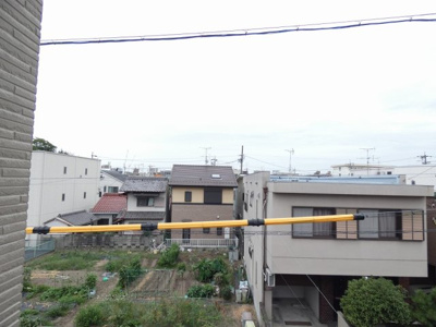 【展望】 | 成叶